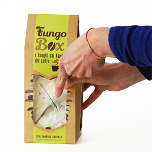 Taglia Kit Fungo Box