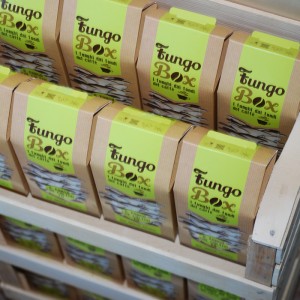 Espositore Fungo Box